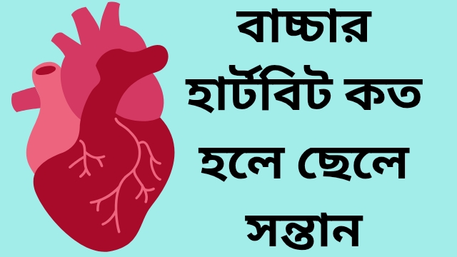 বাচ্চার হার্টবিট কত হলে ছেলে সন্তান