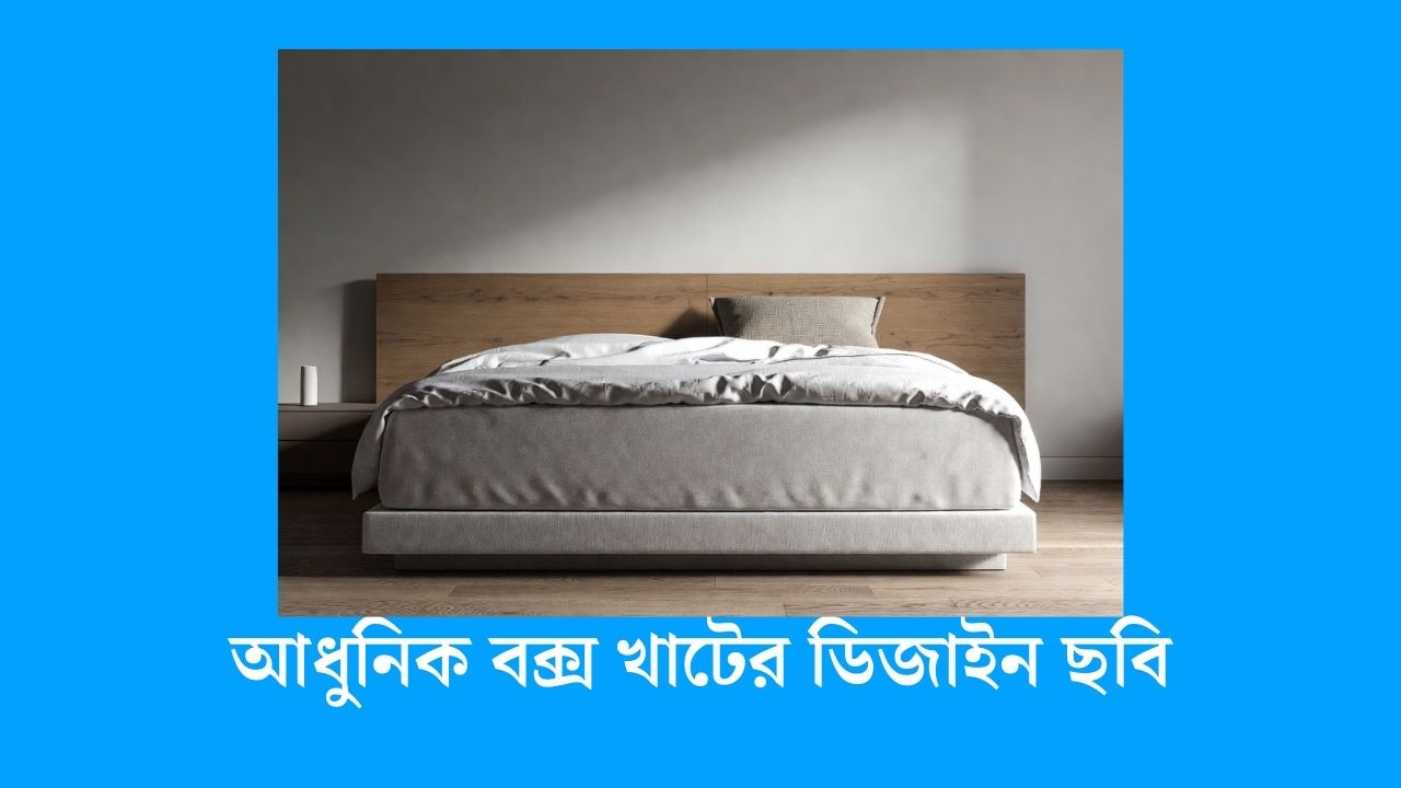 আধুনিক বক্স খাটের ডিজাইন ছবি