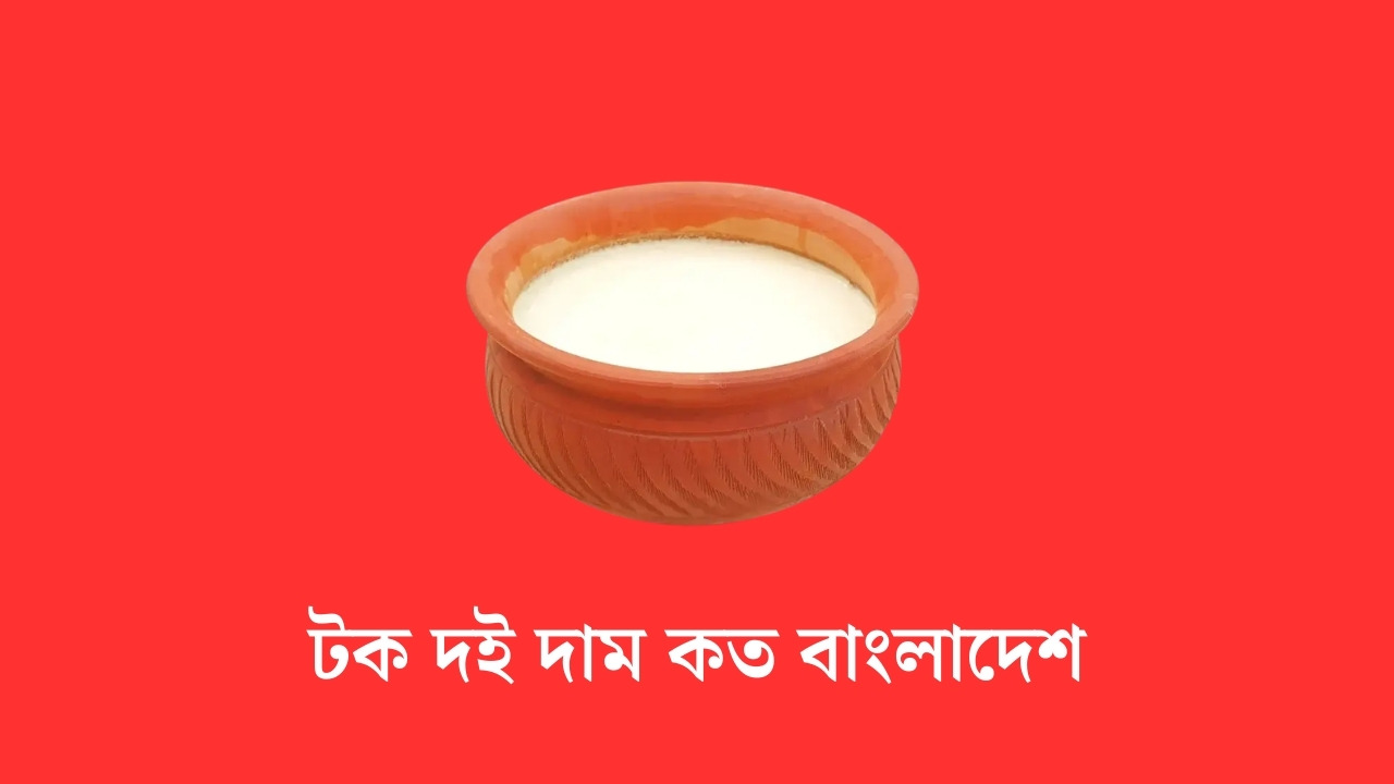 টক দই দাম কত বাংলাদেশ