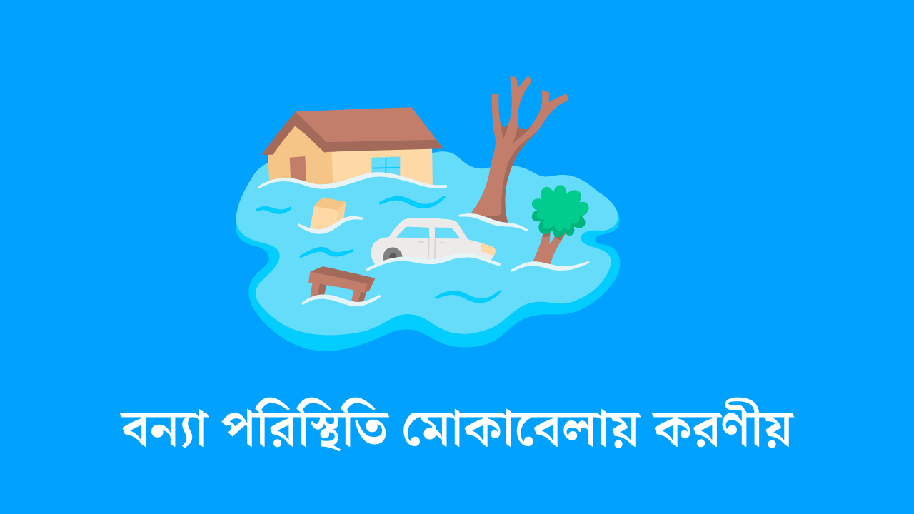 বন্যা পরিস্থিতি মোকাবেলায় করণীয়
